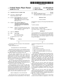 (12) United States Plant Patent (10) Patent No.: US PP16,820 P3 Sandler-Ziv Et Al