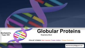 Globular Proteins Team 434 Respiratory Block