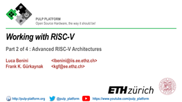 Advanced RISC-V Architectures