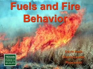 Fuels and Fire Behavior
