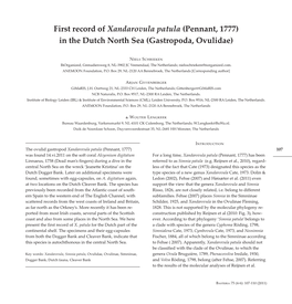 First Record of Xandarovula Patula (Pennant, 1777) in the Dutch North Sea (Gastropoda, Ovulidae )