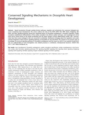 Conserved Signaling Mechanisms in Drosophila Heart Development