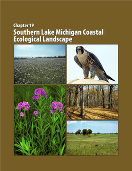 Southern Lake Michigan Coastal Ecological Landscape