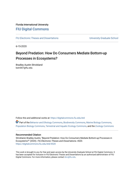 Beyond Predation: How Do Consumers Mediate Bottom-Up Processes in Ecosystems?