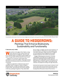 A GUIDE to HEDGEROWS: Plantings That Enhance Biodiversity, Sustainability and Functionality