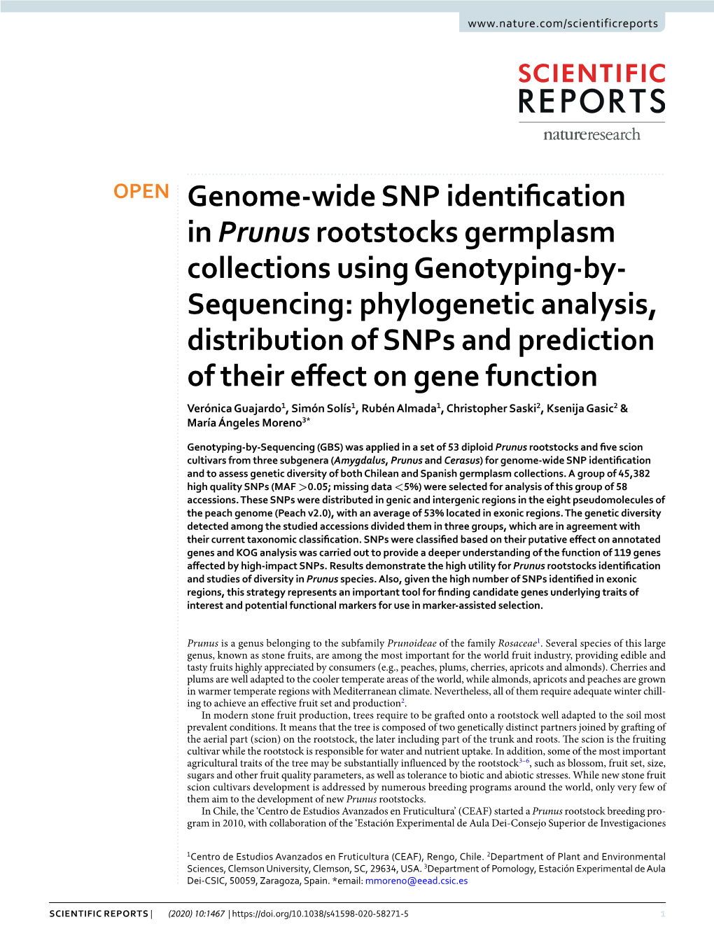 Genome-Wide SNP Identification in Prunus Rootstocks Germplasm