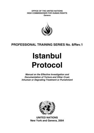 Istanbul Protocol