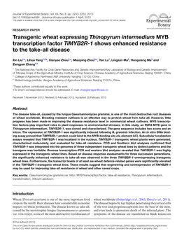 Transgenic Wheat Expressing Thinopyrum Intermedium MYB Transcription Factor Timyb2r-1 Shows Enhanced Resistance to the Take-All Disease