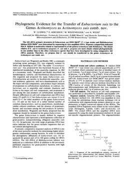 Actinomyces As Actinomyces Suis Comb