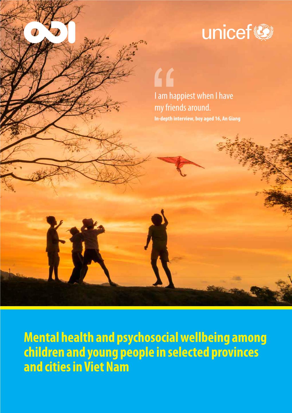 Mental Health and Psychosocial Wellbeing Among Children and Young People in Selected Provinces and Cities in Viet