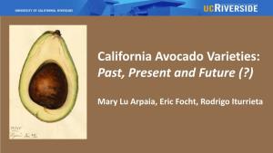 California Avocado Varieties: Past, Present and Future (?)