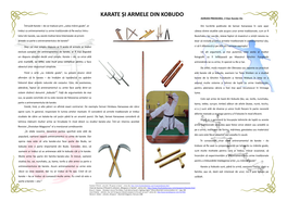 KARATE ŞI ARMELE DIN KOBUDO ADRIAN PREDEANU, 2 Dan Karate-Do