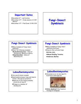 Fungi-Insect Symbiosis Laboulbeniomycetes