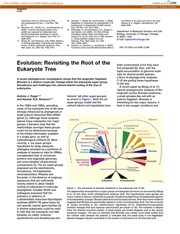 Evolution: Revisiting the Root of the Eukaryote Tree