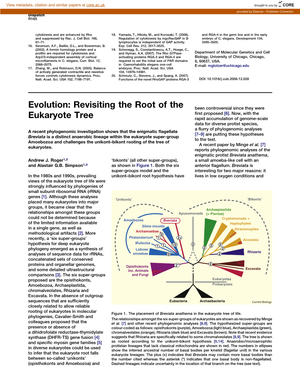 evolution-revisiting-the-root-of-the-eukaryote-tree-docslib