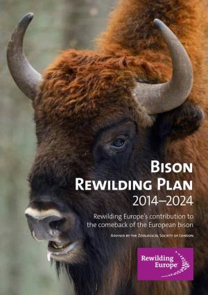 Bison Rewilding Plan 2014–2024 Rewilding Europe’S Contribution to the Comeback of the European Bison
