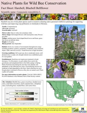 Native Plants for Wild Bee Conservation