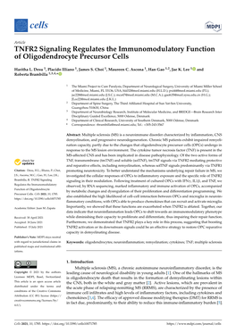 TNFR2 Signaling Regulates the Immunomodulatory Function of Oligodendrocyte Precursor Cells