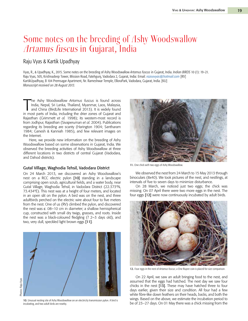 Some Notes on the Breeding of Ashy Woodswallow Artamus Fuscus in Gujarat, India Raju Vyas & Kartik Upadhyay