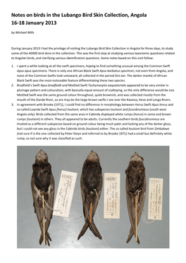 Notes on Birds in the Lubango Bird Skin Collection, Angola 16-18 January 2013 by Michael Mills