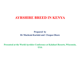 Ayrshire Breed in Kenya