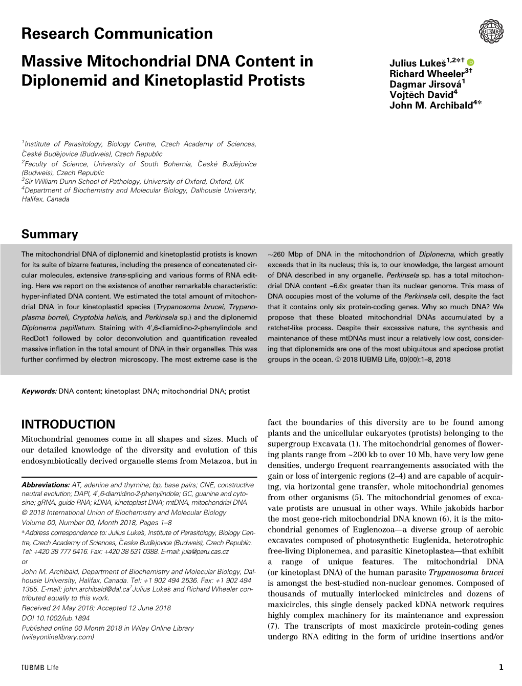 Massive Mitochondrial DNA Content in Diplonemid and Kinetoplastid Protists