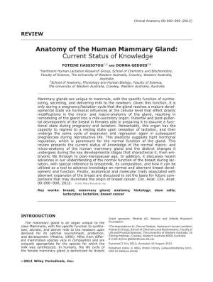 Anatomy of the Human Mammary Gland: Current Status of Knowledge