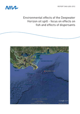 Environmental Effects of the Deepwater Horizon Oil Spill: Focus