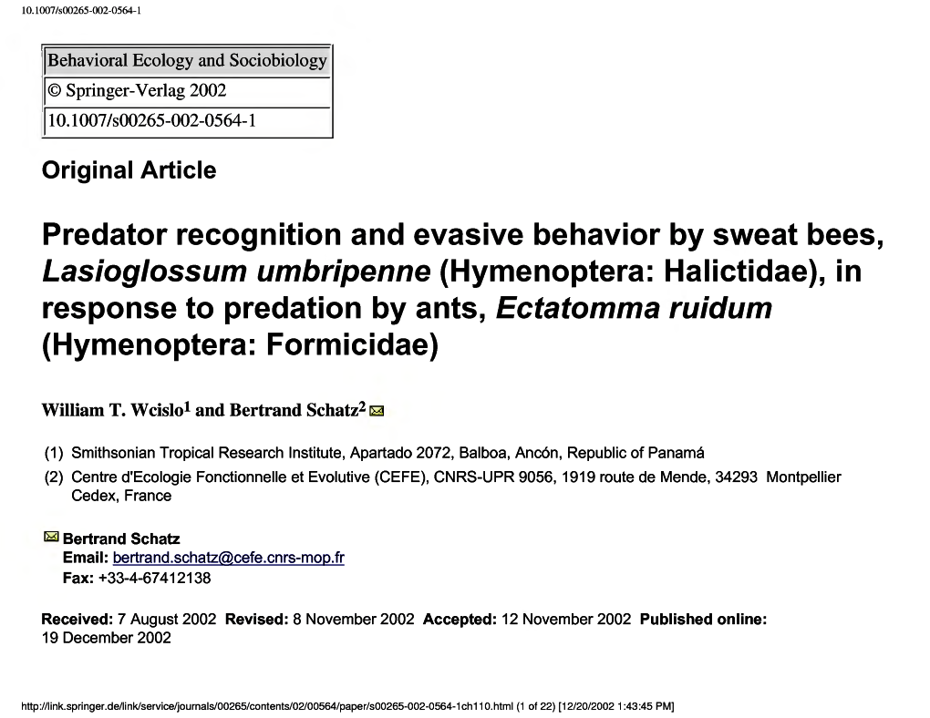 Predator Recognition and Evasive Behavior by Sweat Bees