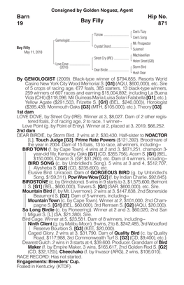 Bay Filly Barn 19 Hip No