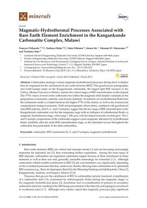 Magmatic-Hydrothermal Processes Associated with Rare Earth Element Enrichment in the Kangankunde Carbonatite Complex, Malawi