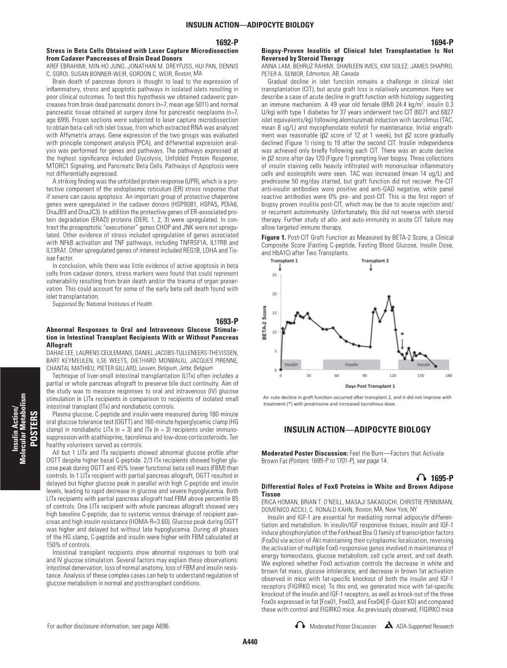 Insulin Action/Molecular Metabolism