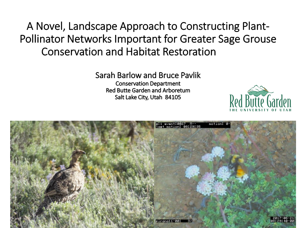 Pollinator Networks Important for Greater Sage Grouse Conservation and Habitat Restoration