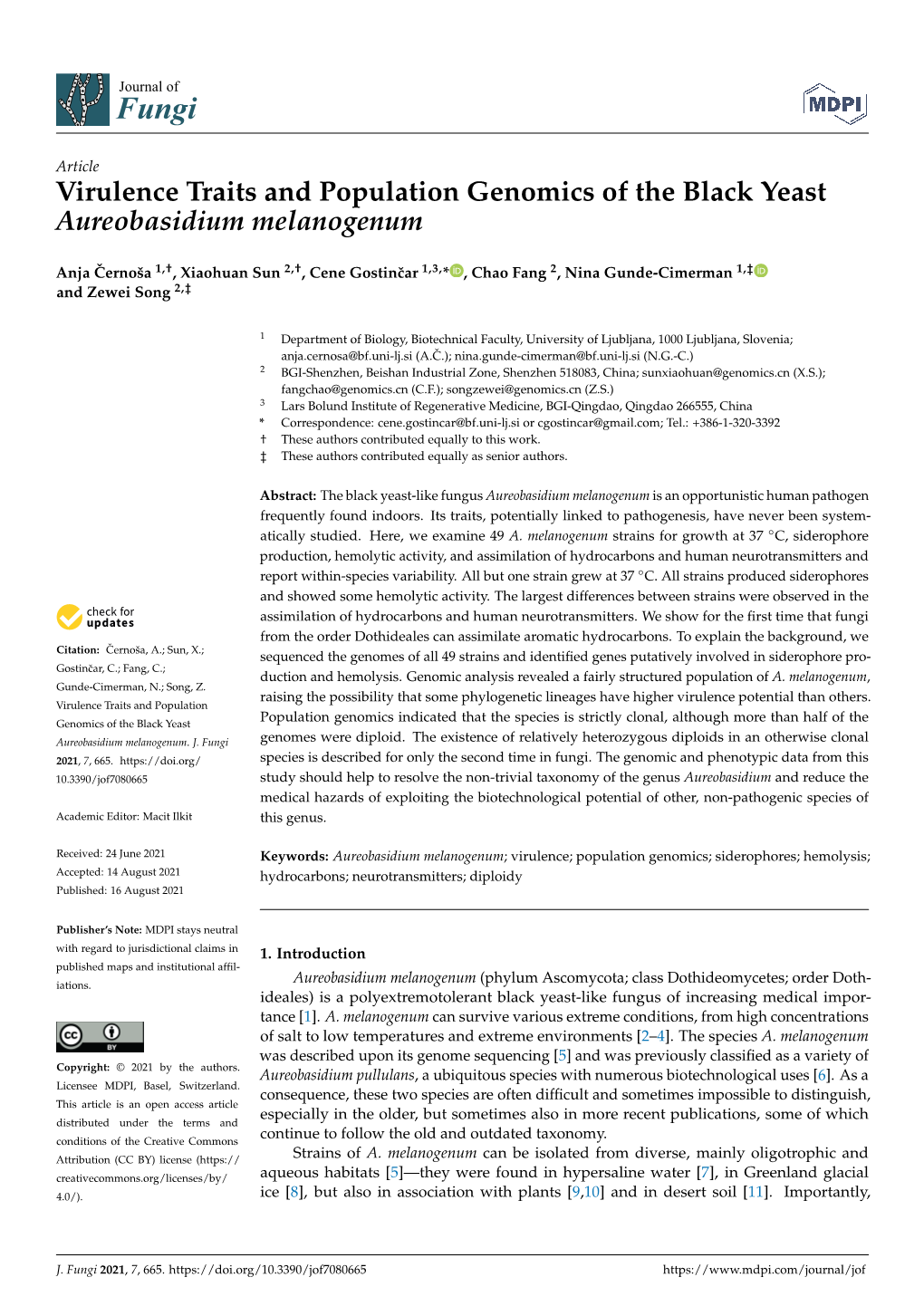 Virulence Traits and Population Genomics of the Black Yeast Aureobasidium Melanogenum