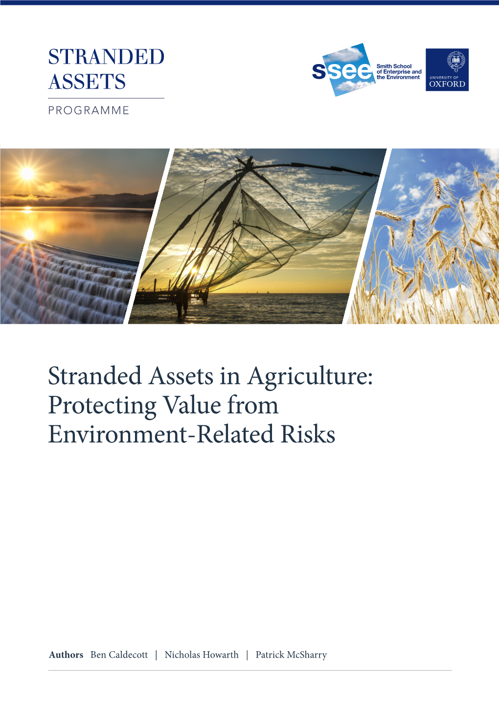 Stranded Assets in Agriculture: Protecting Value from Environment-Related Risks