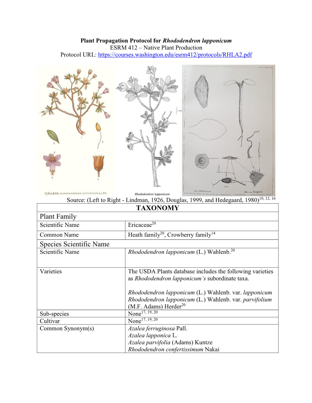 Plant Propagation Protocol for Rhododendron Lapponicum ESRM 412 – Native Plant Production Protocol URL