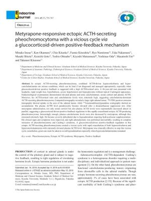 Metyrapone-Responsive Ectopic ACTH-Secreting Pheochromocytoma with a Vicious Cycle Via a Glucocorticoid-Driven Positive-Feedback Mechanism