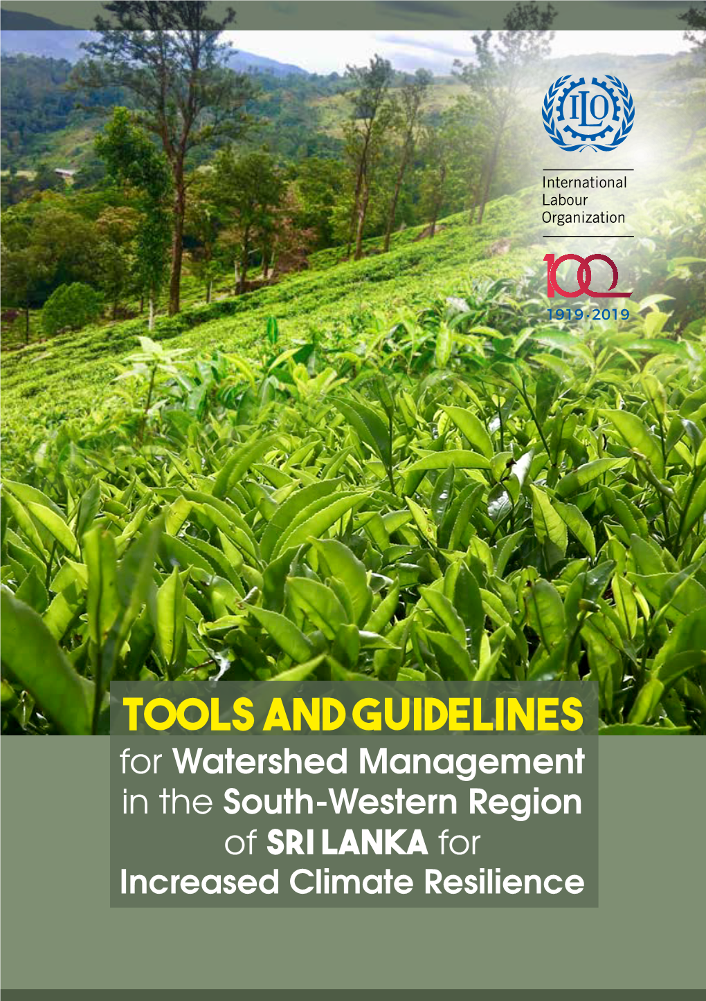 Tools and Guidelines for Watershed Management in the South