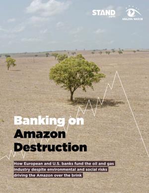 Banking on Amazon Destruction