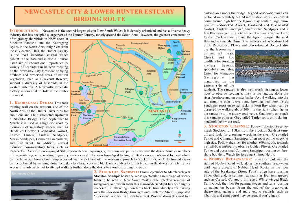 Newcastle City Birding Route