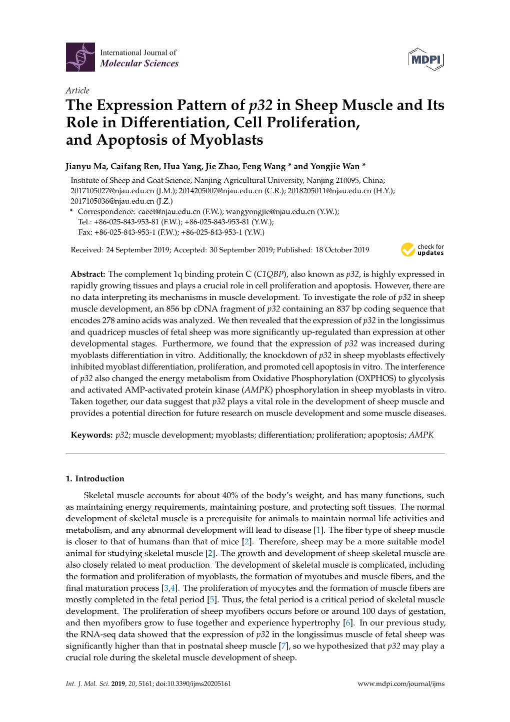 The Expression Pattern of P32 in Sheep Muscle and Its Role in Diﬀerentiation, Cell Proliferation, and Apoptosis of Myoblasts