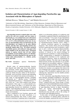 Isolation and Characterization of Agar-Degrading Paenibacillus Spp