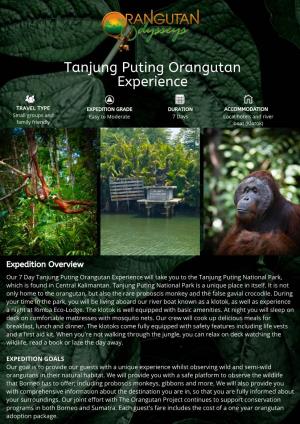 Tanjung Puting Orangutan Experience Brochure