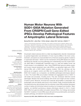 Human Motor Neurons with SOD1-G93A Mutation Generated from CRISPR/Cas9 Gene-Edited Ipscs Develop Pathological Features of Amyotrophic Lateral Sclerosis