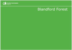 Blandford Forest Plan
