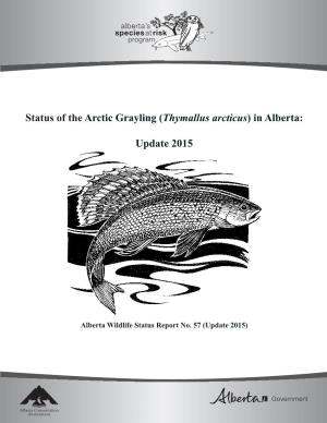 Status of the Arctic Grayling (Thymallus Arcticus) in Alberta