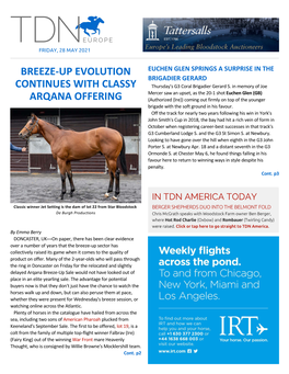 Breeze-Up Evolution Continues with Classy Arqana Offering