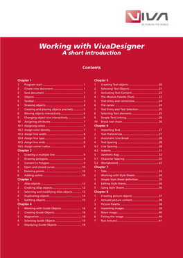 Working with Vivadesigner a Short Introduction