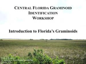 Introduction to Florida's Graminoids