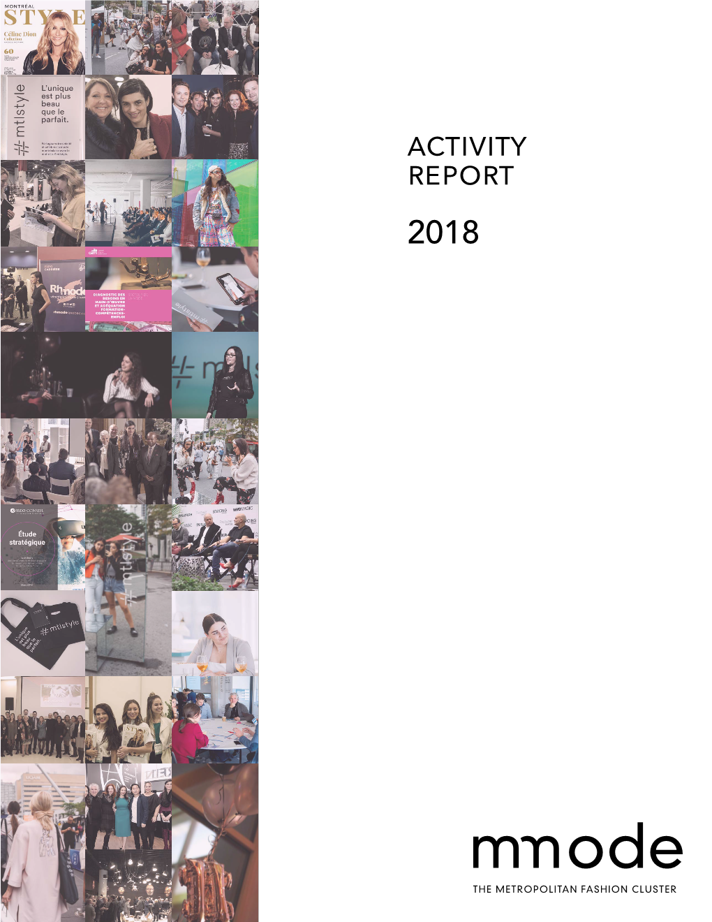 Activity Report 2018 2018 Monitor